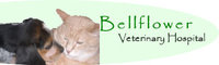 Bellflower Veterinary Hospital
